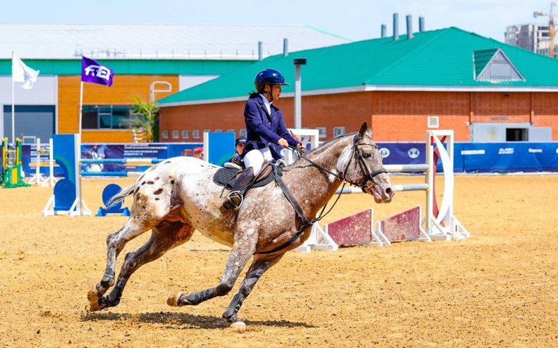 Ат спорты федерациясы Ат спорты федерациясы
