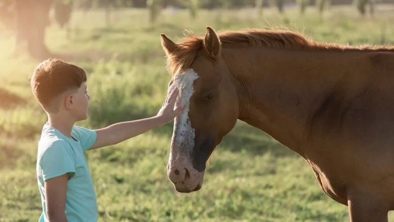 Иппотерапию планируют включить в клинический протокол медреабилитации в РК