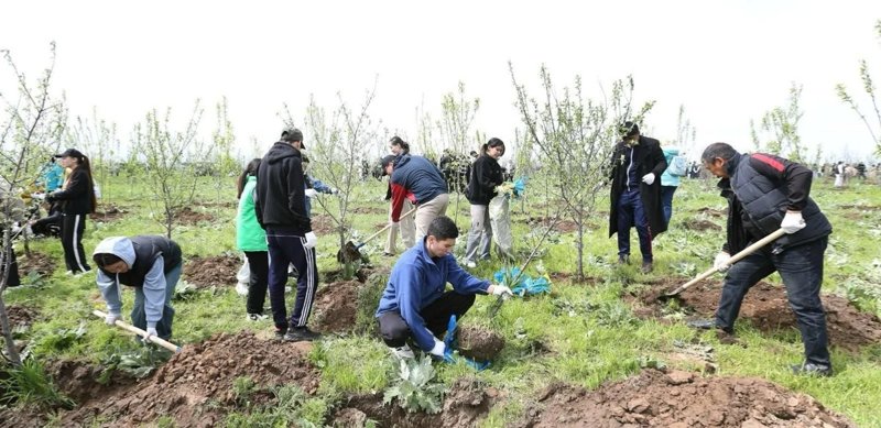 Over 2 mln trees planted since January under Taza Qazaqstan campaign
