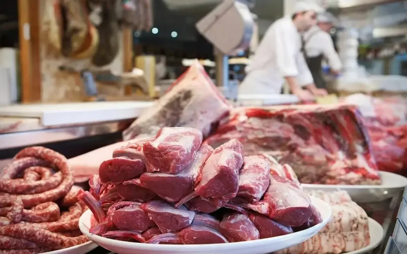 6 companies interested in saiga meat processing in Kazakhstan
