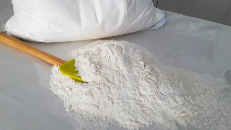 Kazakhstan explores possibility of exporting flour to Middle East, Africa
