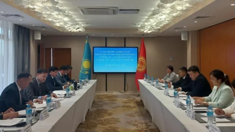 Qazaqstan men Qyrǵyzstan shekara mańyndaǵy agroónimder saýdasyn jandandyrady