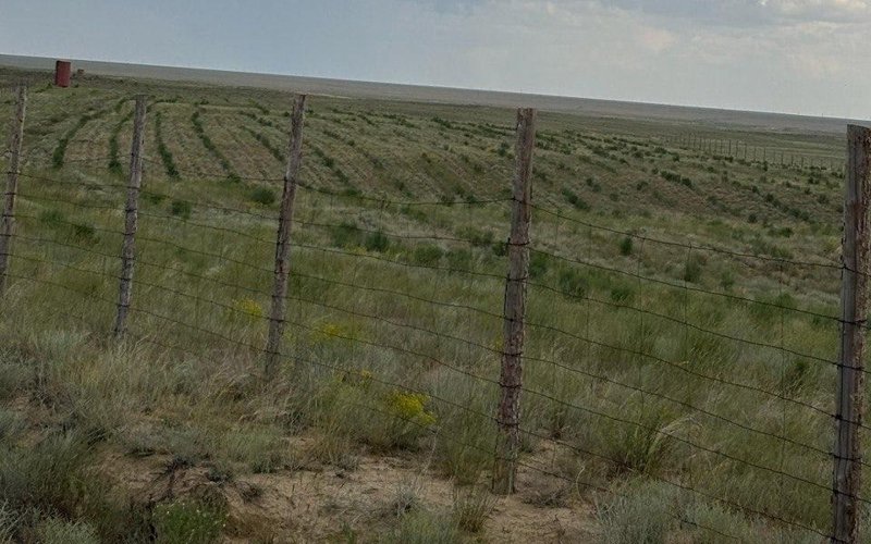 Қошқар ата қоймасы Қошқар ата қоймасы