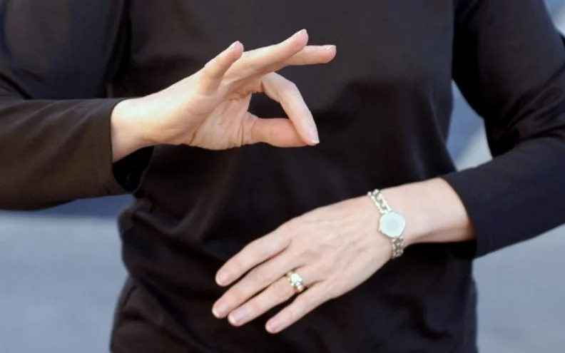 язык жестов