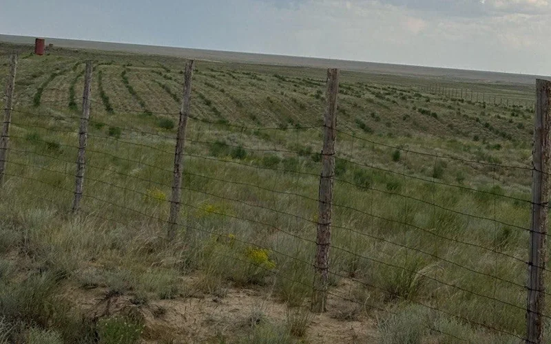 Қошқар ата қоймасы