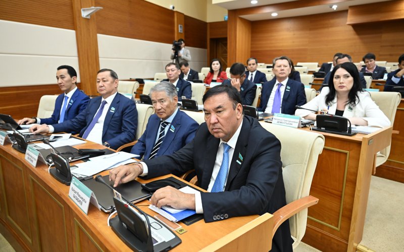 Партия «AMANAT» р