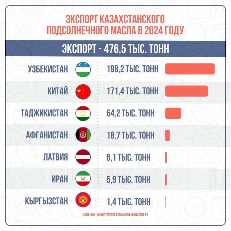 Инфографика Инфографика