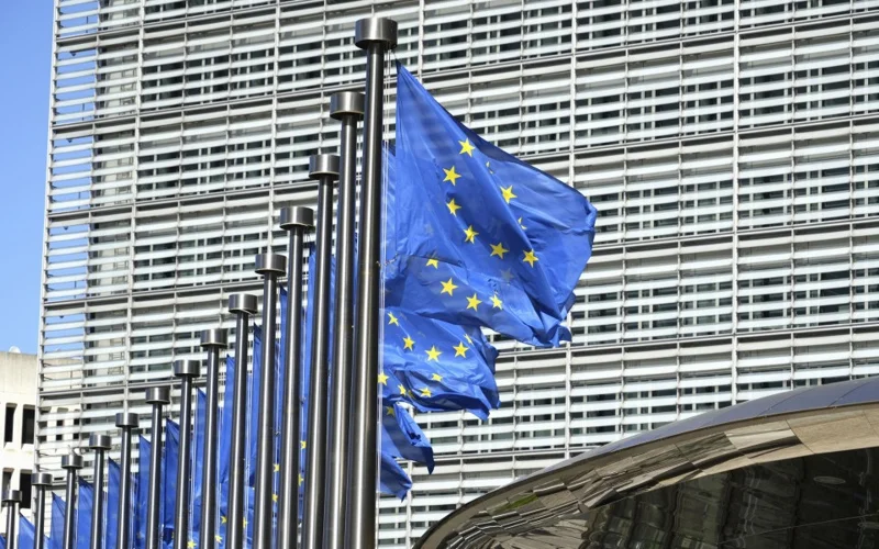 https://english.kyodonews.net/news/2025/06/fd52305b82d1-eu-proposes-global-eel-trade-curbs-despite-japans-opposition.html