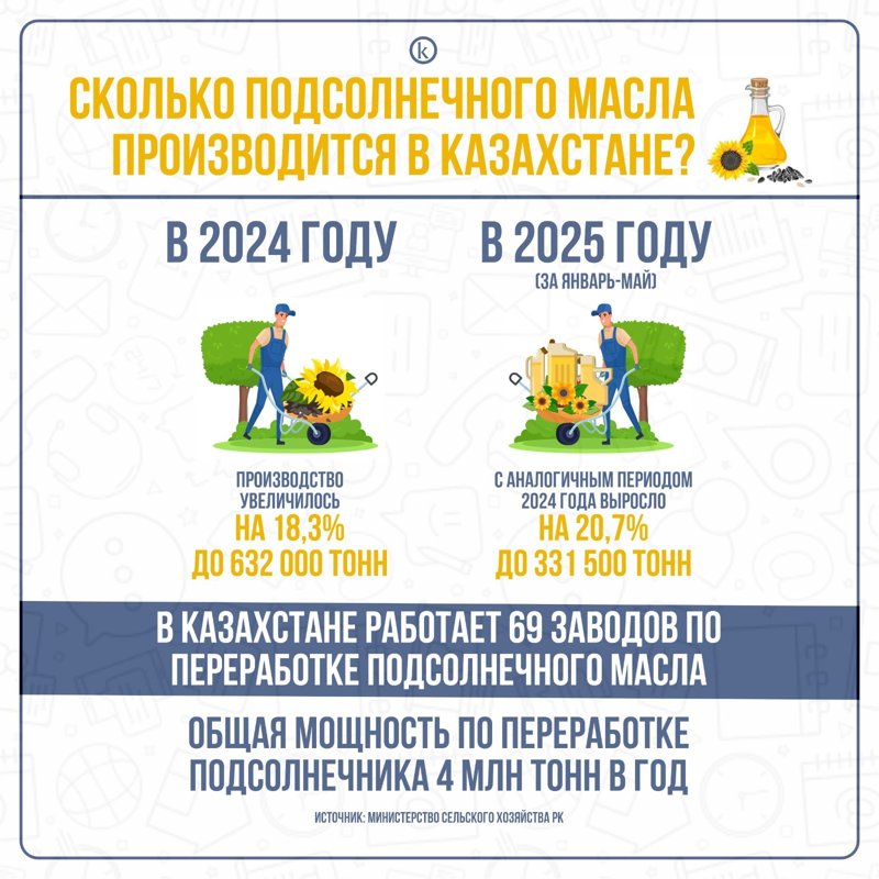 Инфографика Инфографика