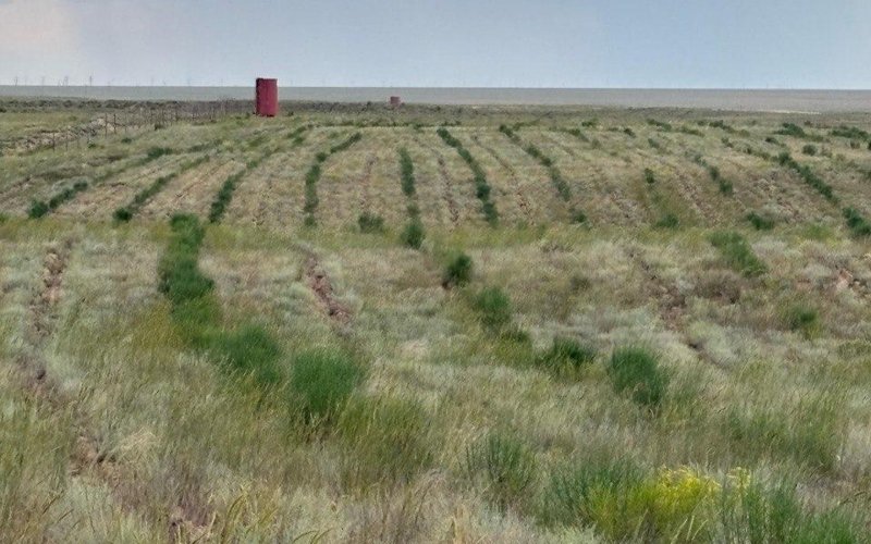 Қошқар ата қоймасы Қошқат ата қоймасы