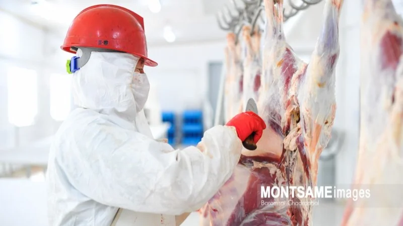 Mongolia to export 2,000 tons of horse meat and halal-processed mutton to Uzbekistan