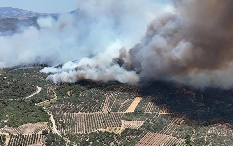 Лесные пожары охватили Турцию: десятки населенных пунктов эвакуированы