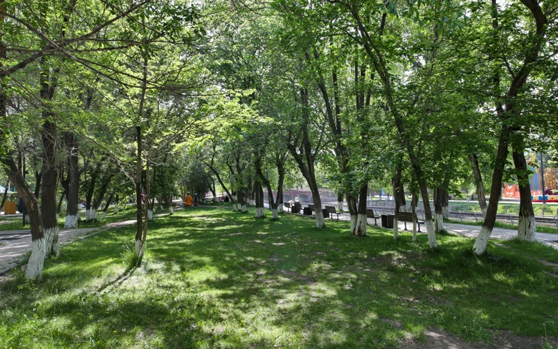 природа парк