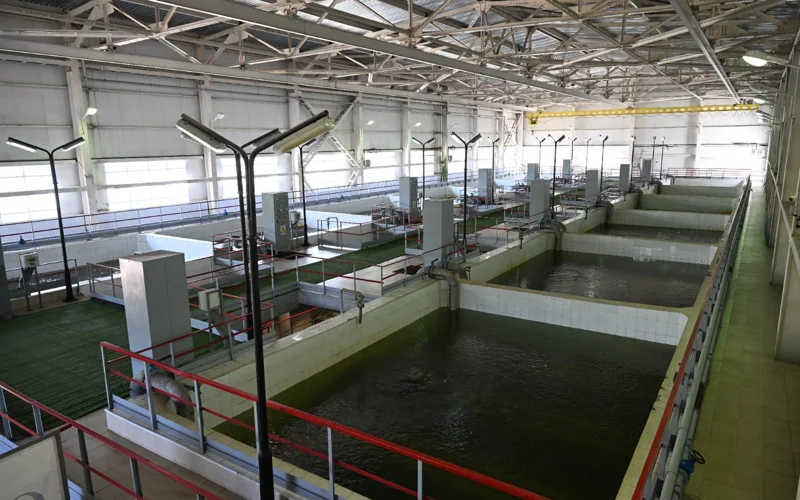 Президент тапсырмасы: Алматыда сумен қамту нысандарының құрылысы қалай жүріп жатыр 