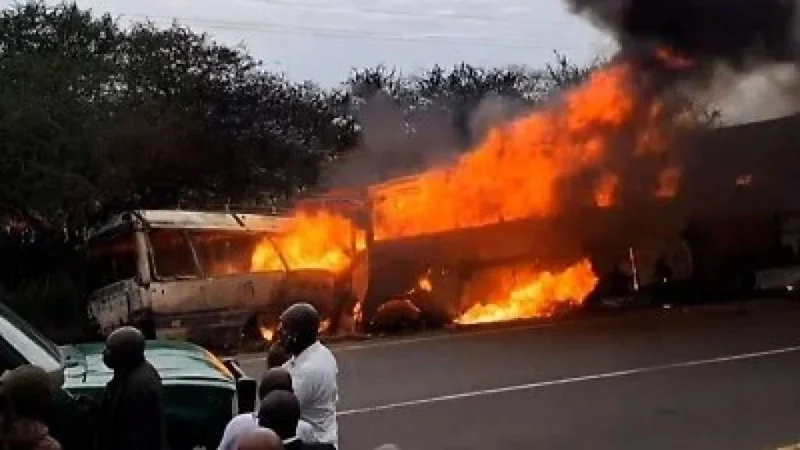 Танзанияда автобуслар тўқнашди