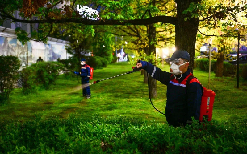 обработка деревьев