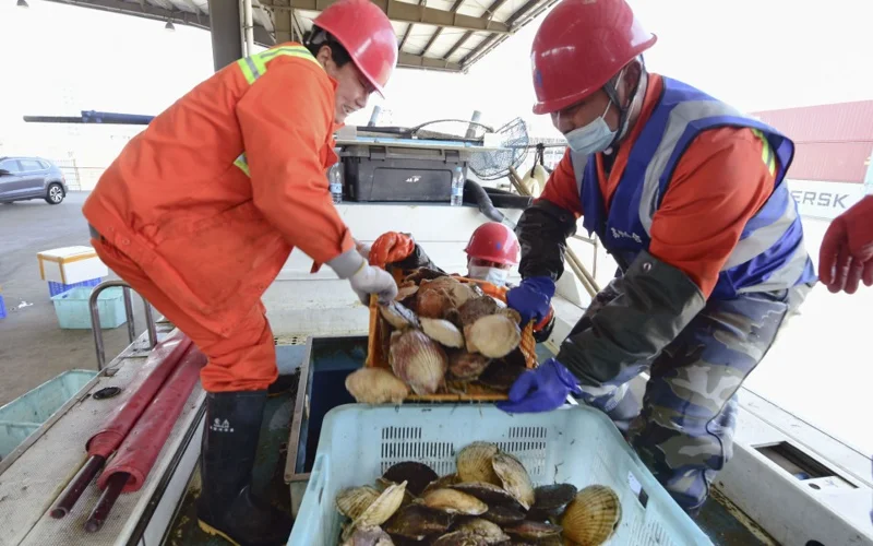 China lifts ban on Japanese seafood imports imposed in 2023