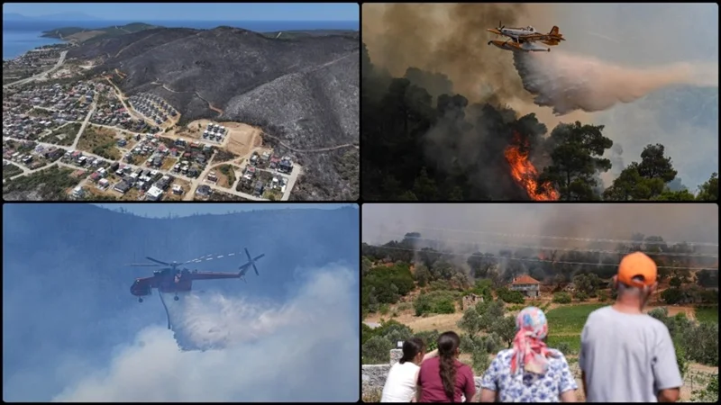 Түркиядағы орман өрттері толықтай ауыздықталды