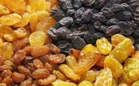 қуритилган узум