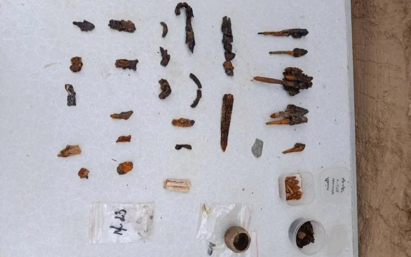 Noble nomad warrior’s tomb unearthed in Kazakhstan’s Turkistan region