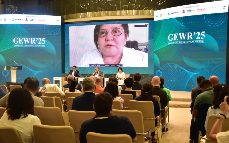 жасыл салық