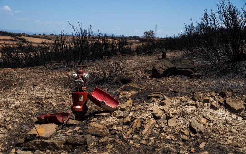 This photo taken on July 2, 2025 shows the burned land in Lleida province, Spain. Two farmers were killed in a wildfire that burned through 5,000 hectares in the La Segarra district of Lleida province, north-east Spain, on Tuesday, according to local emergency services. 