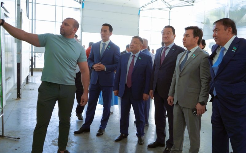 Выращивают бананы и разводят рыбу — депутаты встретились с аграриями Туркестанской области