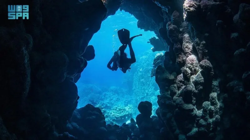 Jeddah's Abu Al Madafa Caves: A Premier Destination for Diving Enthusiasts