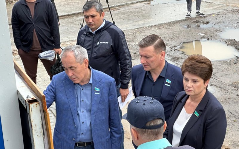 депутаты о