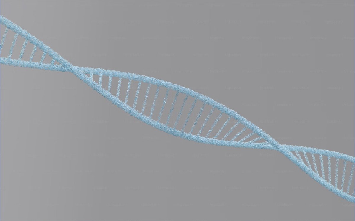 マウスの遺伝子交換は、音声起源の手がかりを明らかにします
