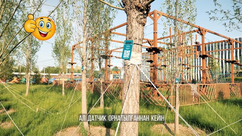 Таза кала Таза кала