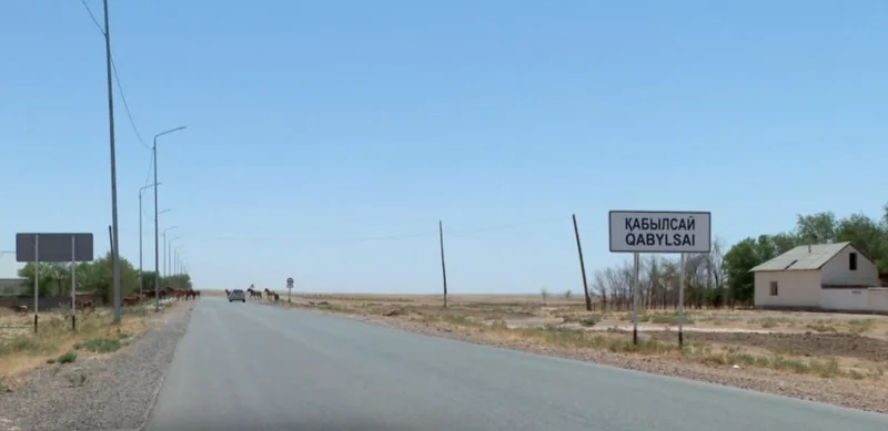 Жители села в Туркестанской области страдают от нехватки воды