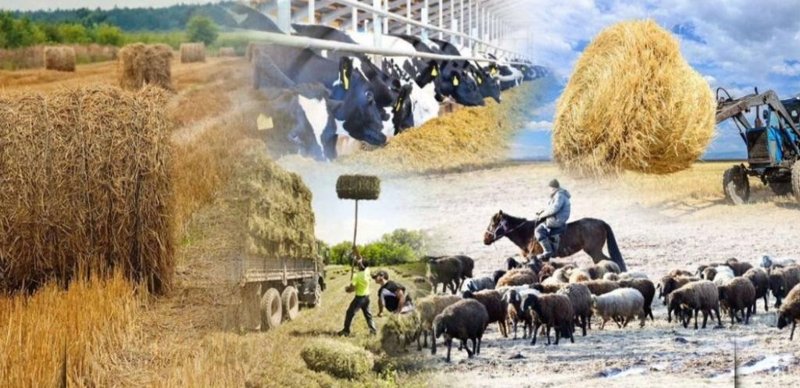 1 тамызда Қазақстанда Ұлттық ауыл шаруашылығы санағы басталады 1 тамызда Қазақстанда Ұлттық ауыл шаруашылығы санағы басталады
