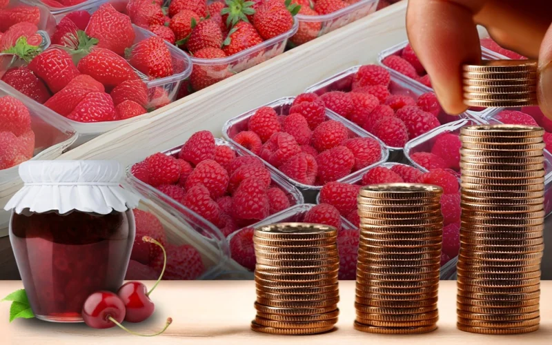 ягода, малина