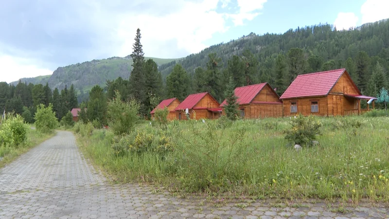 Дорогу к Рахмановским ключам впервые асфальтируют: путь к жемчужине Алтая станет доступнее