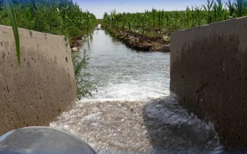  Түркістан облысында жаңадан 72 тік дренажды ұңғыма қолданысқа берілді 