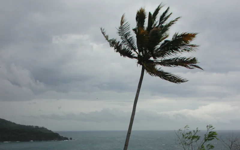 Тайфун «Данас» обрушился на Тайвань: более 500 пострадавших