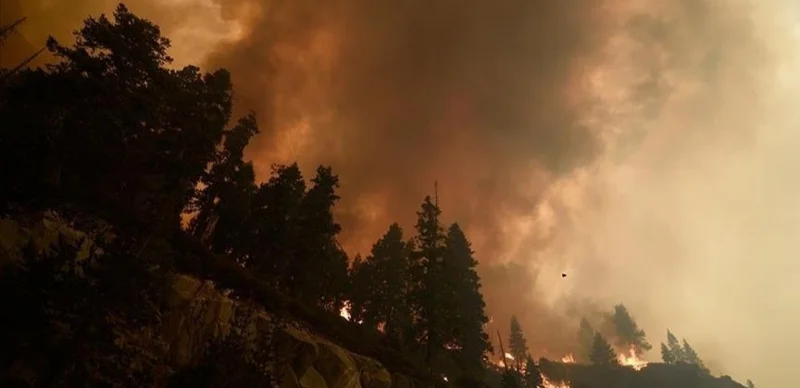 Калифорниядағы өрт 34 мың гектар жерді шарпыды 