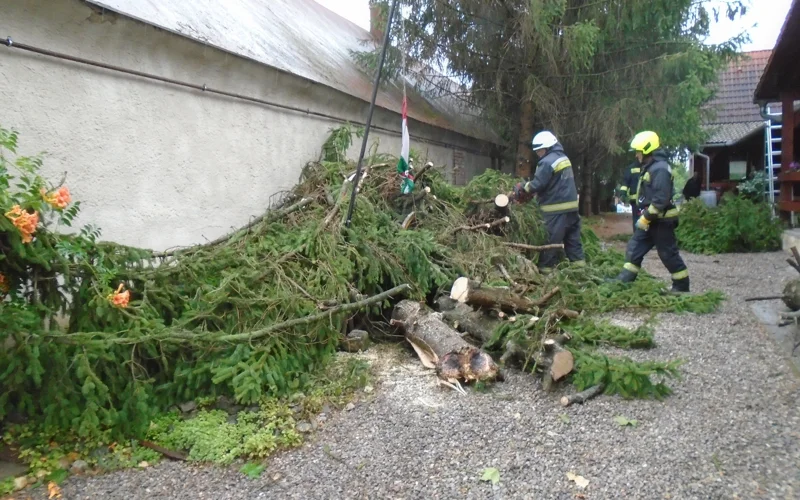 Ураган вызвал крупнейшее за 30 лет отключение электроэнергии в Венгрии