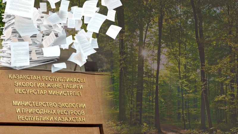 Высадка деревьев 