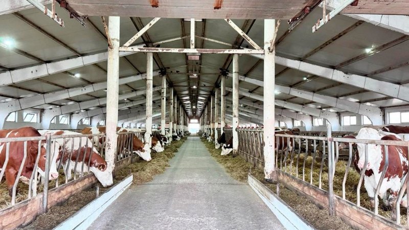 Қазақстан ет экспортын жылына 50 мың тоннаға дейін арттыруды жоспарлап отыр Қазақстан ет экспортын жылына 50 мың тоннаға дейін арттыруды жоспарлап отыр