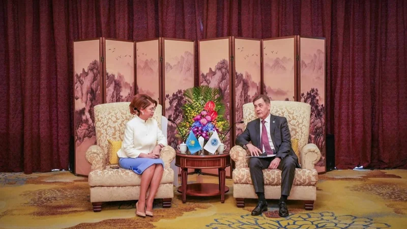 Аида Балаева предложила  оцифровать культ наследние ШОС