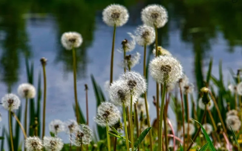 Kazakhstan to brace for downpours, hail and thunderstorms