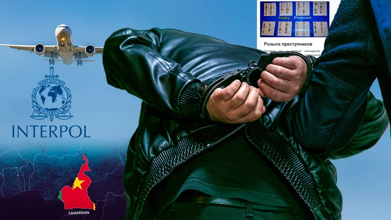 Розыск преступников