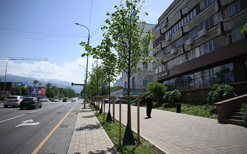 В Алматы создадут единый центр по озеленению города