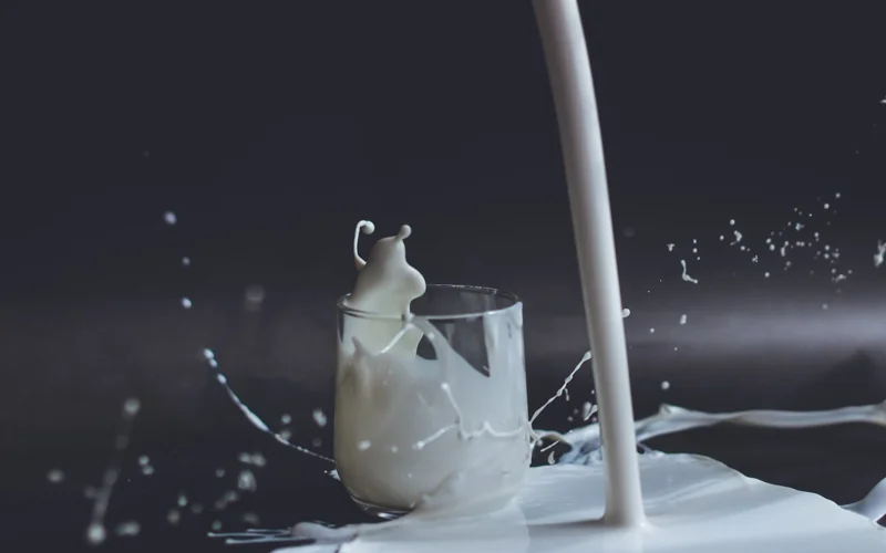 Milk