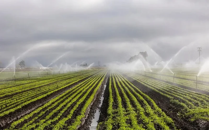 Water-saving technologies to cover 1.3 mln ha of irrigated land in Kazakhstan