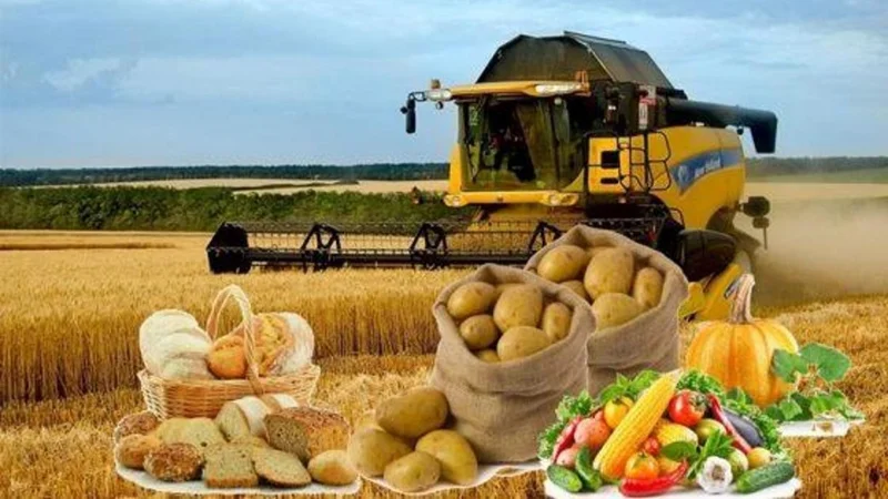 тамақ өнімдері өндірісі 