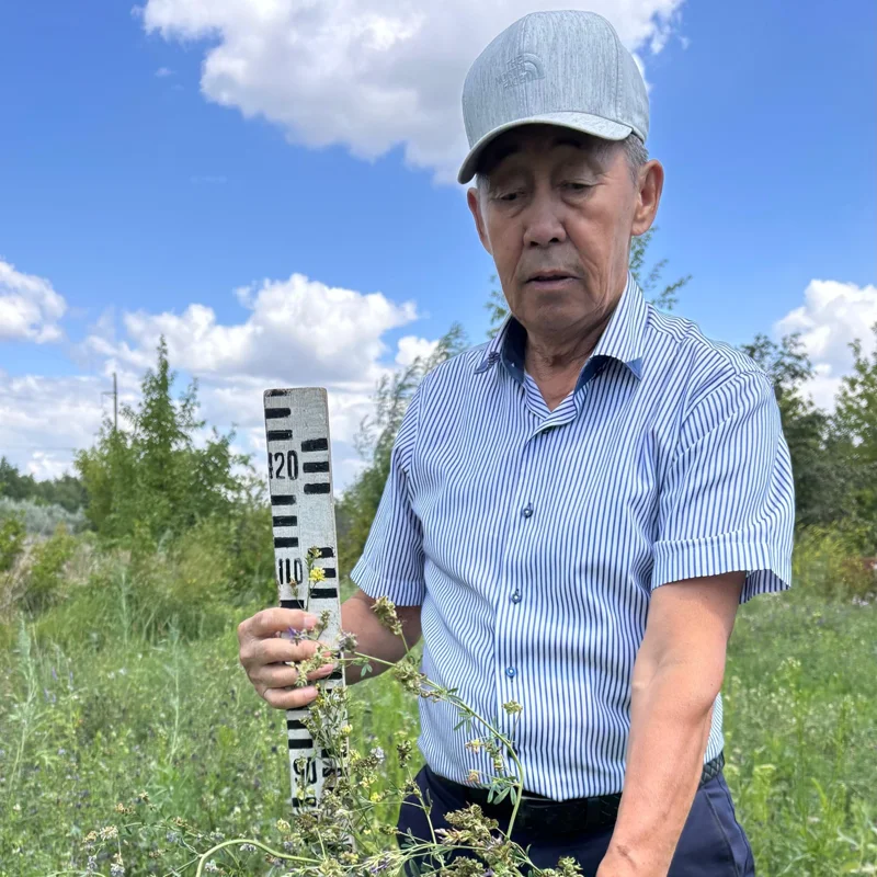 Қолын кискасына дейін созған қыздың фотосы