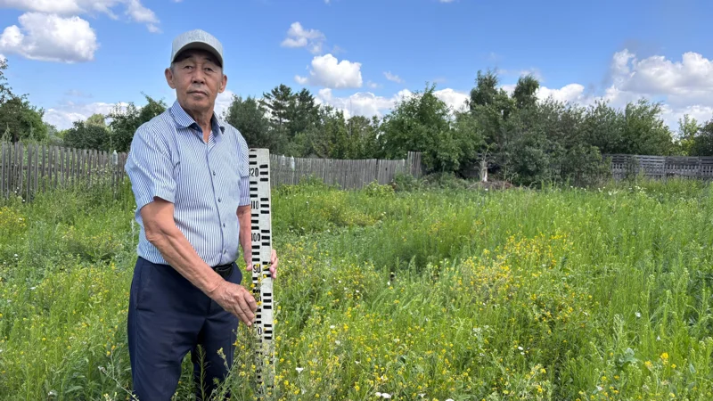 Жоңышқаның әлемде жоқ жаңа сортын шығарған ғалымның жаңалығы елеусіз қалып отыр 